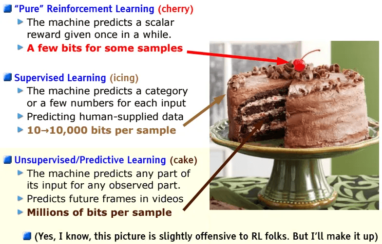 Training Cake